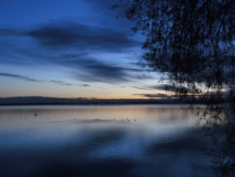 Morgendämmerung am See